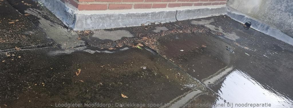 Daklekkage Spoed Hoofddorp