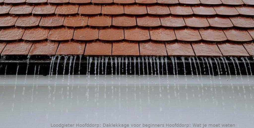 Daklekkage Voor Beginners Hoofddorp