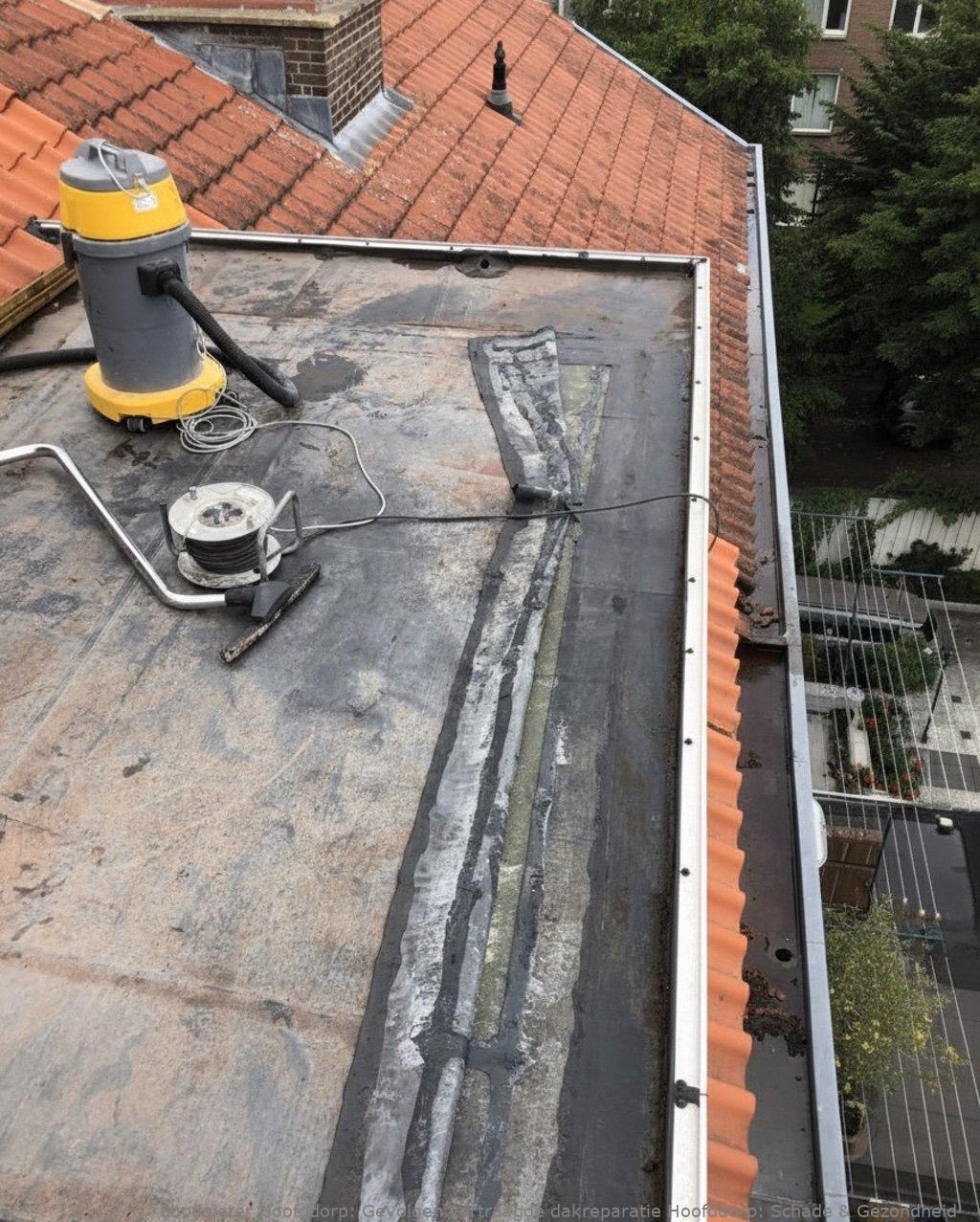 Gevolgen Vertraagde Dakreparatie Hoofddorp