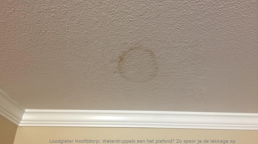 Lekkage Plafond Hoofddorp