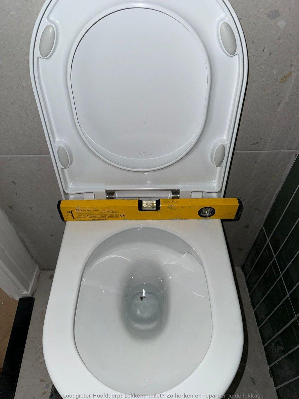 Lekkage Toilet Hoofddorp