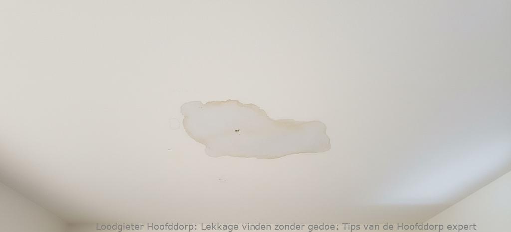 Lekkage Vinden Hoofddorp