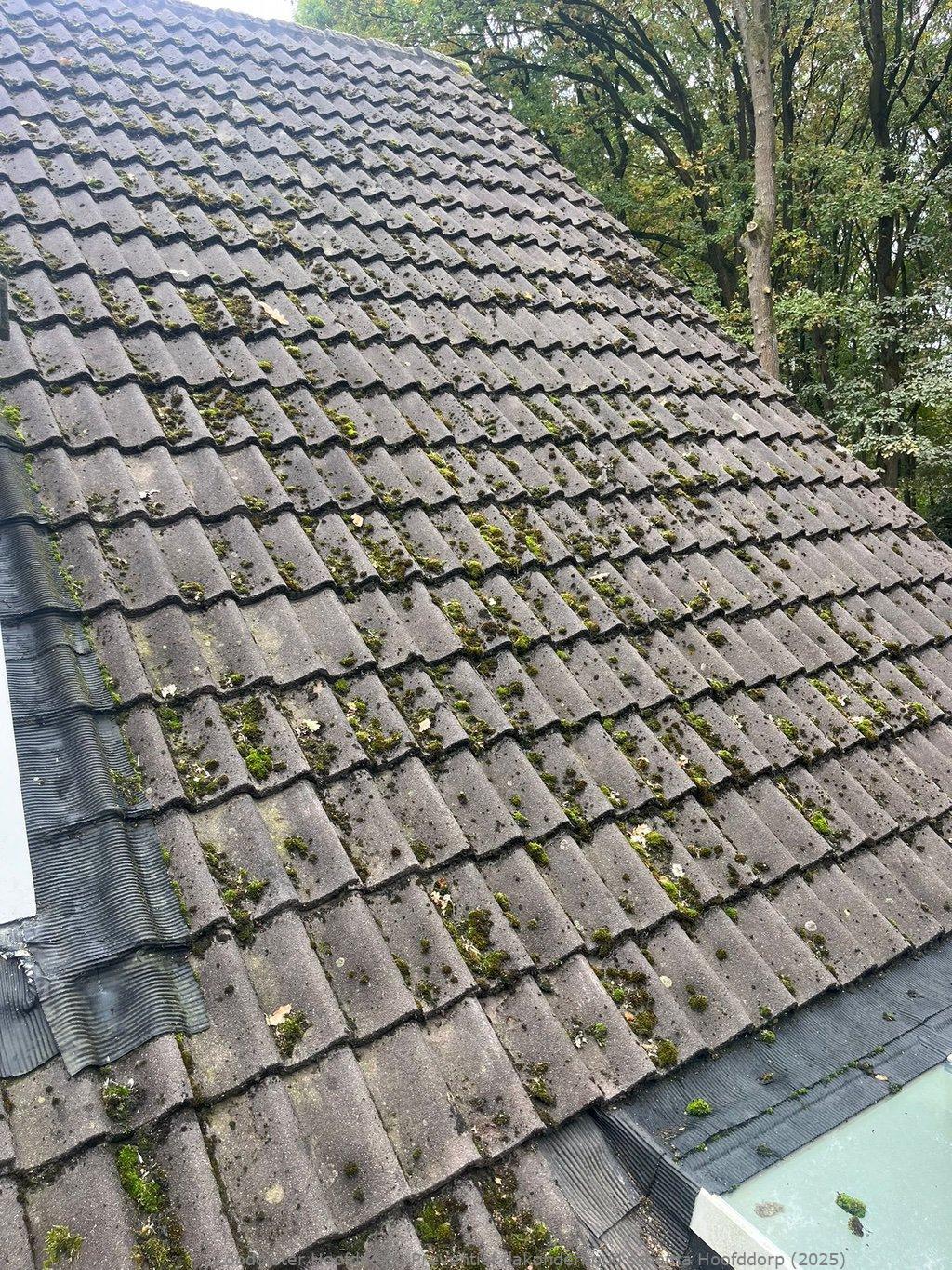 Preventief Dakonderhoud Schema Hoofddorp