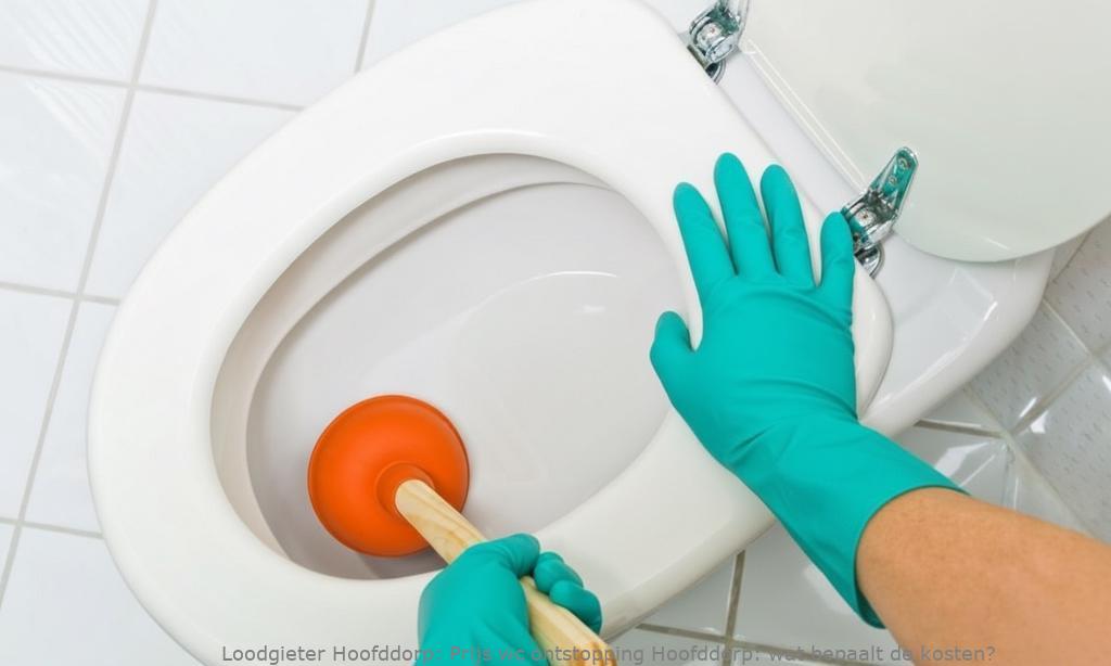 Prijs Wc Ontstopping Hoofddorp
