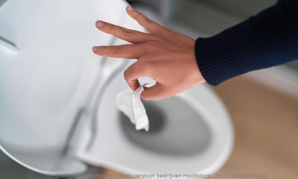 Toilet Verstopt Bedrijven Hoofddorp