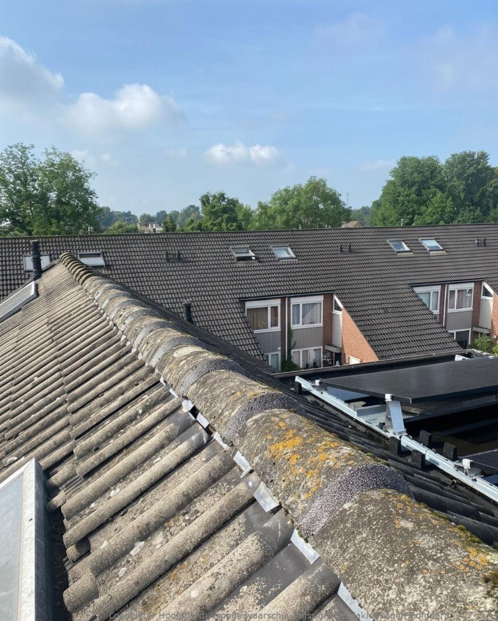 Vroege Waarschuwingssignalen Daklekkage Hoofddorp